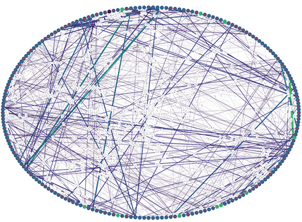 Example of contact matrix: everyone is identified by a bubble with an ID (granting privacy and GDPR compliance). The lines illustrate direct contacts of each with other individuals (time spent in the same room). The thicker the line, the more contact (frequency and / or time spent) there was between the two individuals.