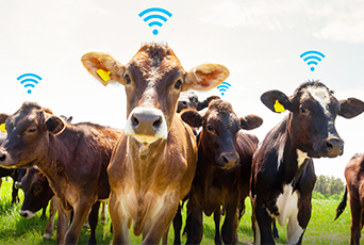 Smart Farm Technologies: Shaping Security on Farms