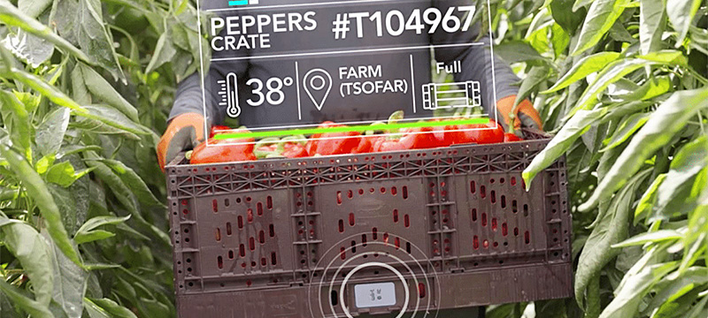 Smart Labels will Help IoT Become 'Massive' with 581 Million Labels Shipped in 2028